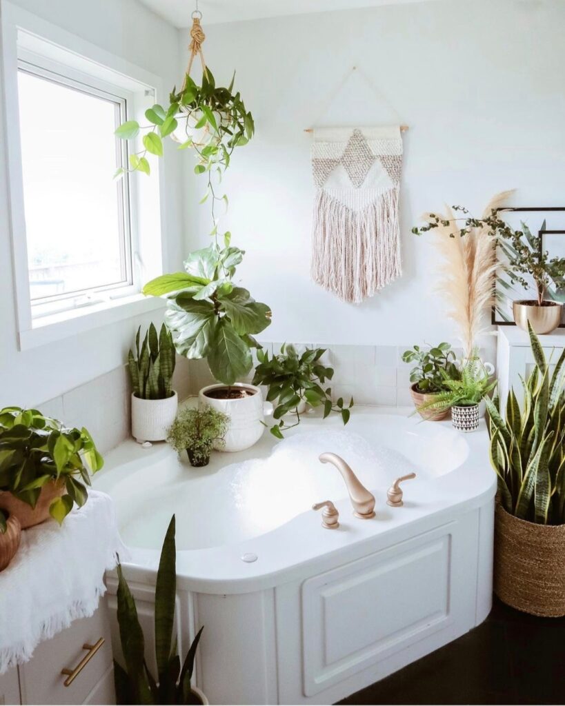 Plants good for humidity creating relaxing surroundings in a bathroom